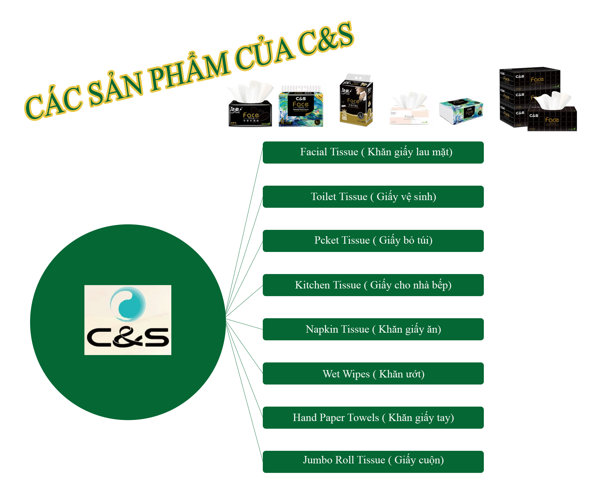 Ảnh tổng thể sản phẩm C&S